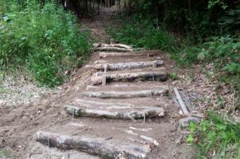 森の中の公園の階段を作っています。