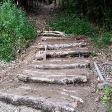 森の中の公園の階段を作っています。