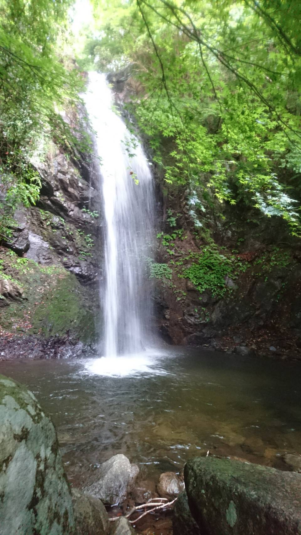 白藤の滝 が想像以上にマイナスイオンで神がかっていました Ataata Resort