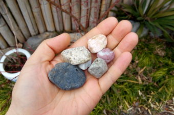 お子様向けのビジネス体験イベント『きれいな石を集めてアタアタリゾートに売りに行こう！』